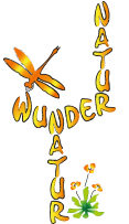 Wundernatur